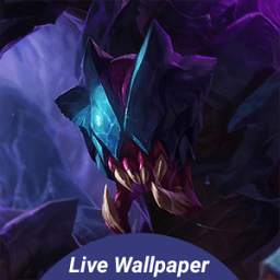 Rek 1.0.1