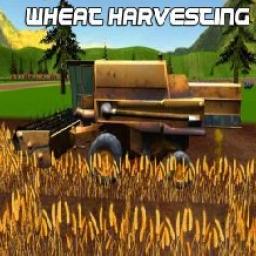 ikon Perkebunan Dataran Tinggi Dieng