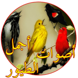 اصوات الطيور بدون نت icon