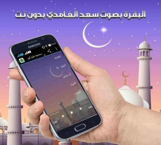 البقرة بصوت الغامدي بدون نت screenshot 2