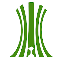 Libertadores 2020 أيقونة