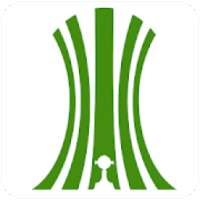 Libertadores 2020 on 9Apps