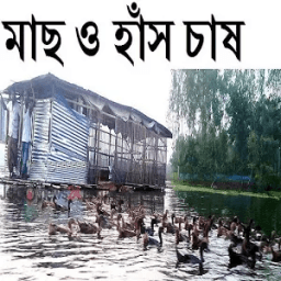 ikon মাছ ও হাঁস চাষ পদ্ধতি এক সাথে