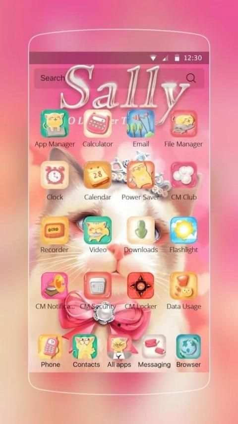 Princess Kitty Theme screenshot 2