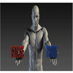 true or false أيقونة