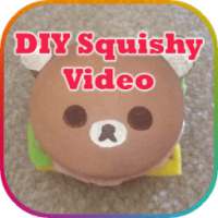 DIY Squishy Video