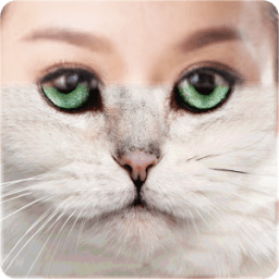 Tiger - Animal Face Maker icon