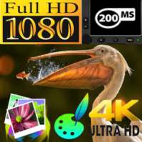 DSLR-4K UltraHD on 9Apps