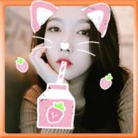 Cat Face Selfie Camera on 9Apps