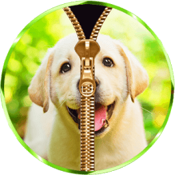 Cute Puppy Zipper Lock Screen आइकन