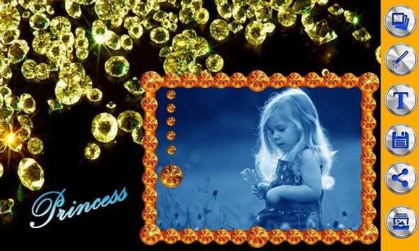Diamond Photo Frames स्क्रीनशॉट 4