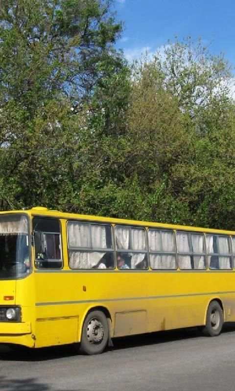 Jigsaw Puzzles IKARUS Bus screenshot 5