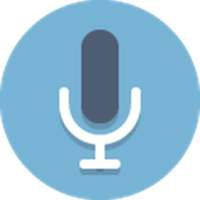 Деловой диктофон