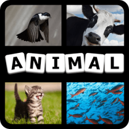4 Pics 1 Animal أيقونة
