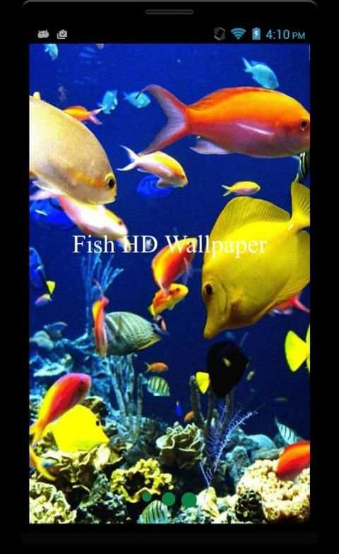 Fish HD Wallpaper स्क्रीनशॉट 1