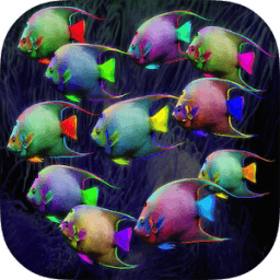 Fish HD Wallpaper आइकन