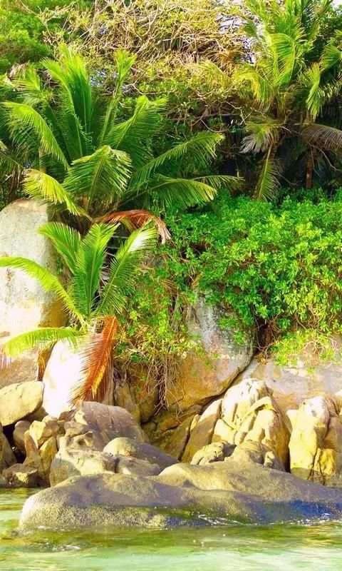Zenfone 3 Wallpapers скриншот 6