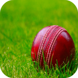 Cricket Wallpaper HD أيقونة