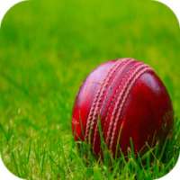 Cricket Wallpaper HD