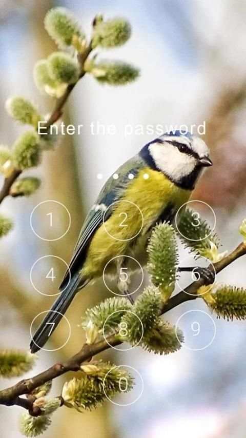 Fancy Screen Lock Bird screenshot 1