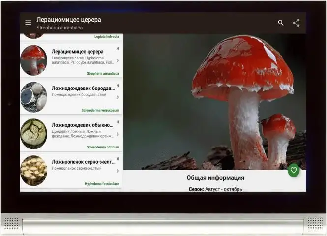 Справочник Грибов APK Download 2023 - Free - 9Apps