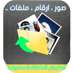 استرجاع الملفات المحذوفة 2.0