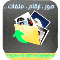 استرجاع الملفات المحذوفة joke