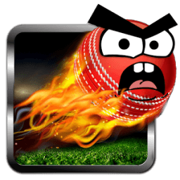 Cricket Game: Angry Style आइकन