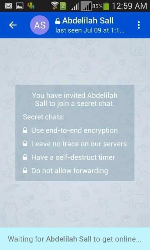 Telegram Messenger screenshot 2