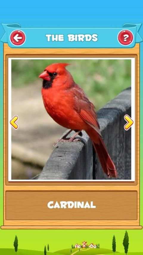 Learn the Birds स्क्रीनशॉट 2
