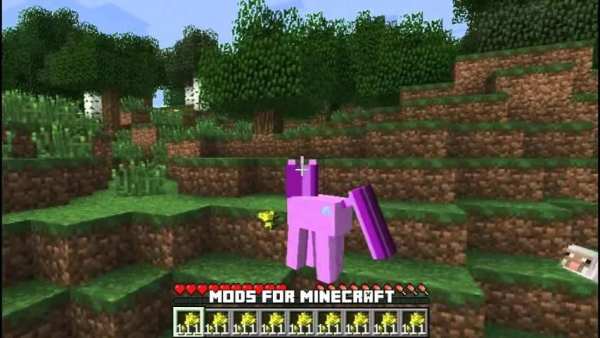 Mod Little Pony for Minecraft screenshot 3