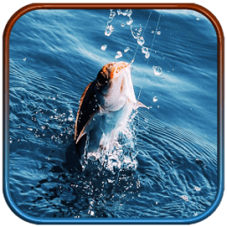 Real Fishing Pro 3D أيقونة