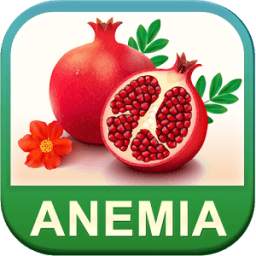 Anemia Care Foods & Diet Tips