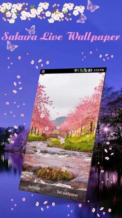 Sakura Live Wallpaper screenshot 5