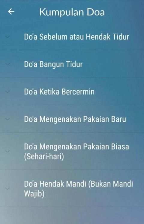 Muslim Pocket screenshot 2