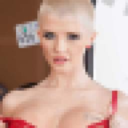 Joslyn James Porn XXX Puzzle 1.0