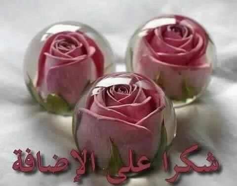 بطاقات ورد لشكر على قبول صداقة screenshot 4