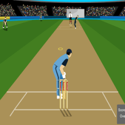 Hit &amp; Bowl Cricket Games أيقونة