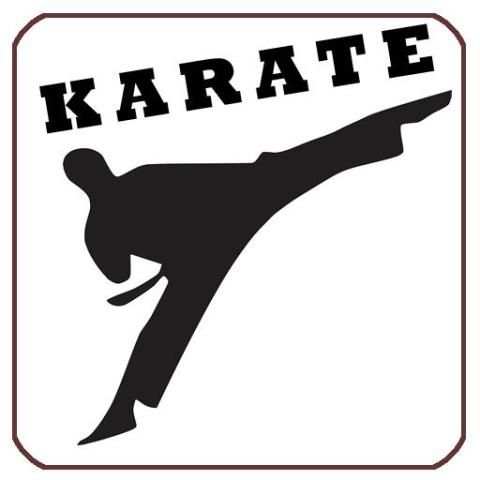 Karate Fight Training Lessons 1 تصوير الشاشة