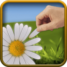 मैं चाहता या मुझे नहीं चाहता आइकन