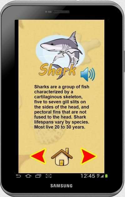Sea Animals & Shark Fishing screenshot 1