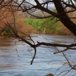 Nature Live Walpaper 9 أيقونة