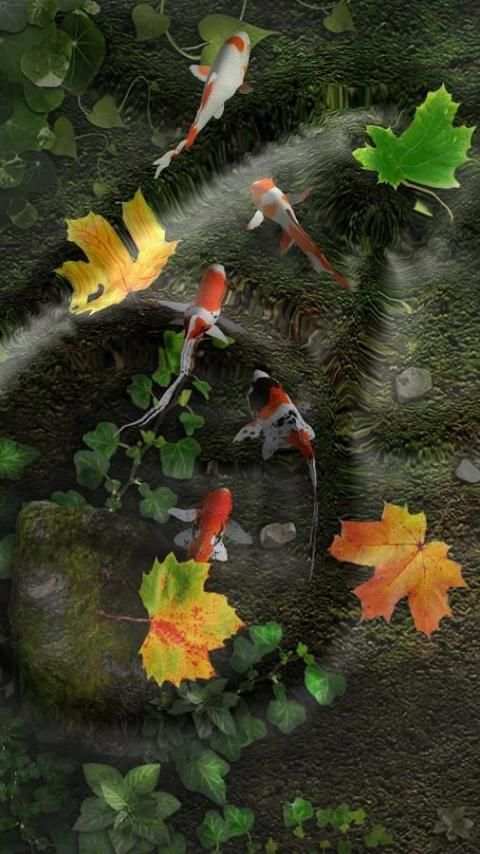 Wallpaper Hidup Koi Pond screenshot 16