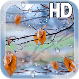 ikon Autumn Raindrops Live HD