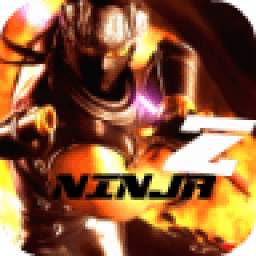Ninja Fighter Too 1.0