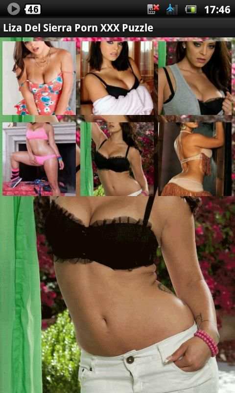Liza Del Sierra Porn Puzzle screenshot 1