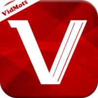 VidMetdt Video Donlod Guide