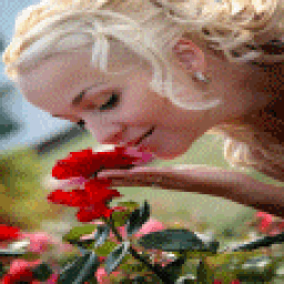 Rose Girl Live Wallpaper icon