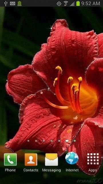 Summer Flower Twinkle Live Wallpaper screenshot 2