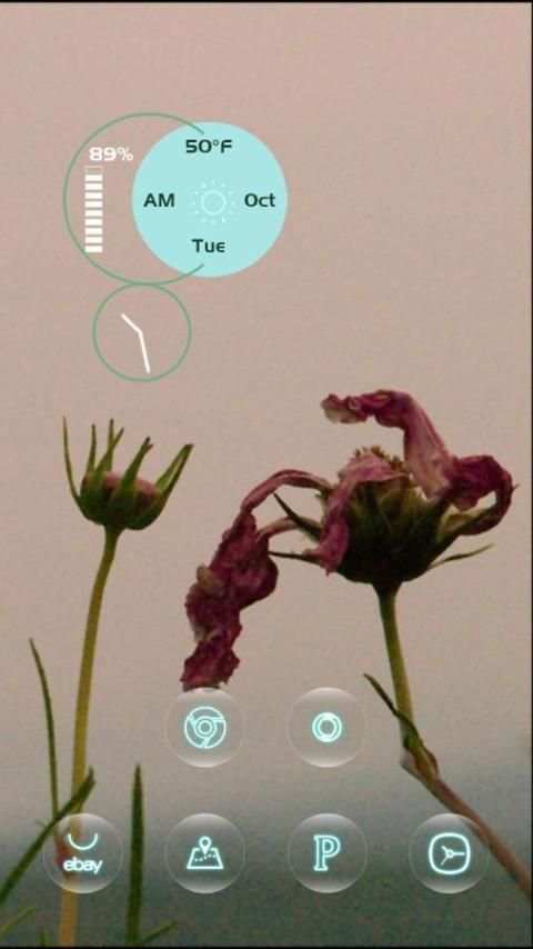 Litter Flowers Theme स्क्रीनशॉट 1
